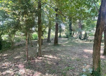 Rustic Modena - photo 20