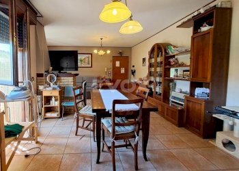 Apartment Valsamoggia - photo 5