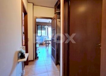 Apartment Valsamoggia - photo 8