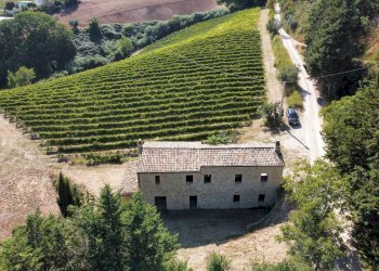 Rustic SP142, Ripatransone - photo 6