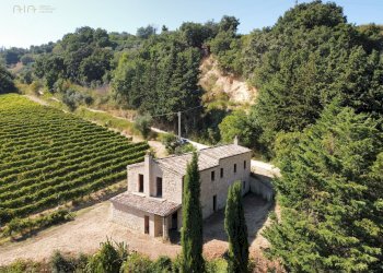 Rustic SP142, Ripatransone - photo 7