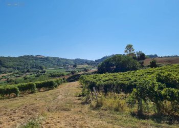 Rustic SP142, Ripatransone - photo 14