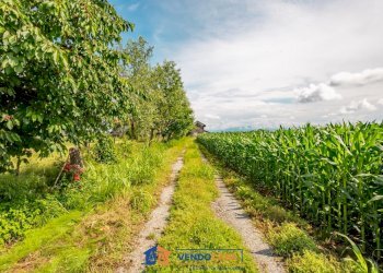 Rustico Fossano - foto 14