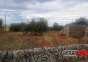 Rustic SAN GIOVANNI LO PIRATO, Scicli - photo 12