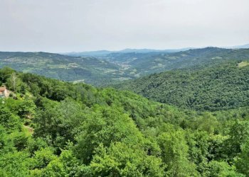 Casale Niella Belbo - foto 4