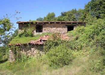 Casale Niella Belbo - foto 7