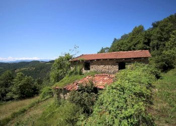 Casale Niella Belbo - foto 8