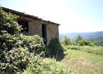 Casale Niella Belbo - foto 11