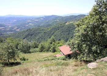 Casale Niella Belbo - foto 12