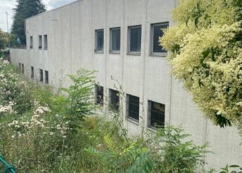 Capannone via dei Lapidari, 1, Bologna (zona Corticella) - foto 1