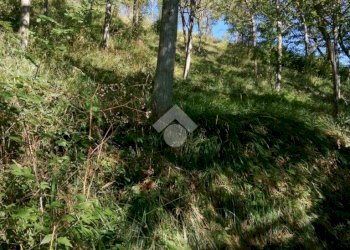 Independent house Strada Provinciale 95, Toano - photo 6
