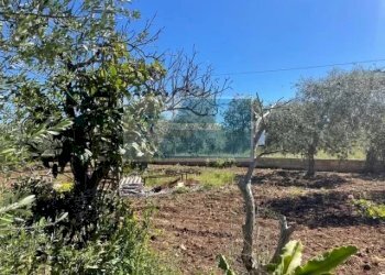 Terreno edificabile C.da Spalla, Melilli - foto 2