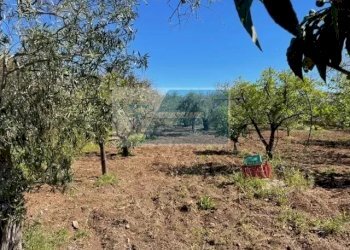 Terreno edificabile C.da Spalla, Melilli - foto 4