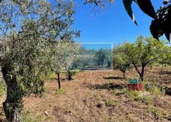 Terreno edificabile C.da Spalla, Melilli - foto 5