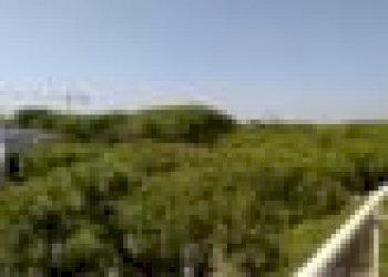 Four-room apartment Cervia - photo 1