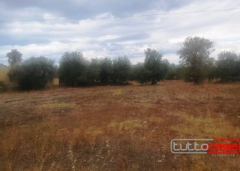 Terreno edificabile CONTRADA SAN GIOVANNI LO PIRATO, Scicli - foto 2