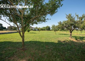 Rustico piazza unità, Jolanda di Savoia - foto 11