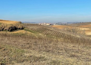Rustic Montemagno - photo 25