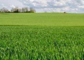 Terreno edificabile Santa Vittoria d'Alba - foto 5