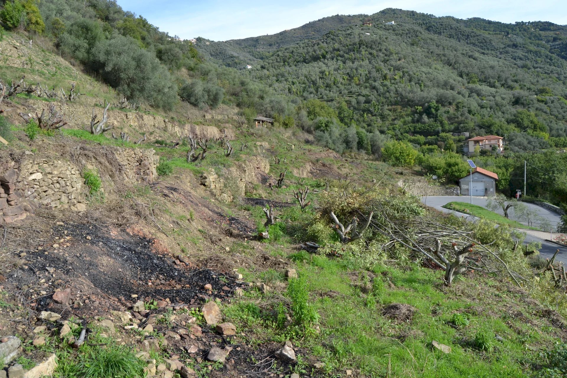 Terreno edificabile Località Massabç, Perinaldo - foto 1