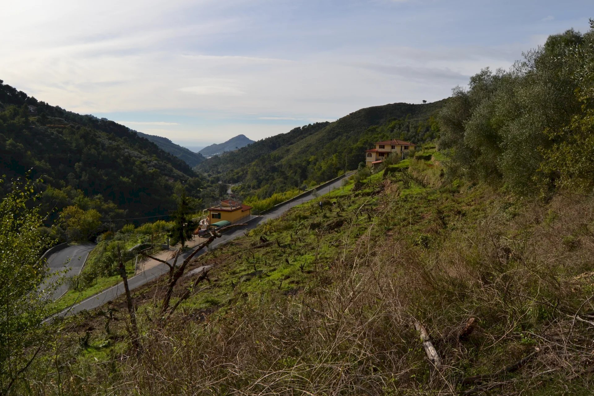 Terreno edificabile Località Massabç, Perinaldo - foto 2