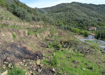 Terreno edificabile Località Massabç, Perinaldo - foto 1