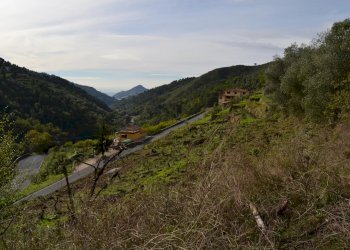 Terreno edificabile Località Massabç, Perinaldo - foto 2