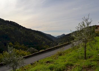 Terreno edificabile Località Massabç, Perinaldo - foto 3