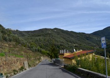 Terreno edificabile Località Massabç, Perinaldo - foto 7