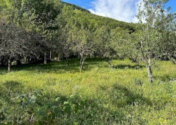 Villa via Monte Bello, 34, Chialamberto - photo 7