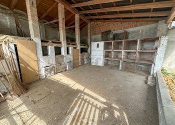 DEPOSITO - Casale Via Roma 44, San Vito al Torre - foto 23