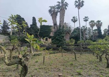 7ecadc7e-28d8-4dcd-9370-9a2015a431fc.jpg - Villa Valderice - photo 16