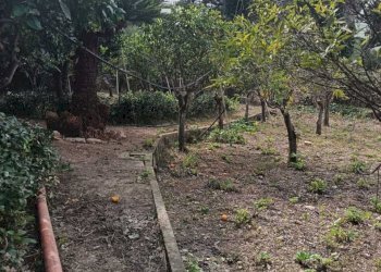 0f8d46bf-ad7e-4d24-9b35-c1f8f0c25156.jpg - Villa Valderice - photo 17