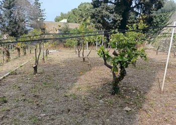 4e02e0e7-7069-4fbc-972a-cce861339582.jpg - Villa Valderice - photo 18