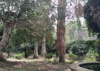 8b2ca64b-97c2-4e48-9594-bf4ce67dcb58.jpg - Villa Valderice - photo 21