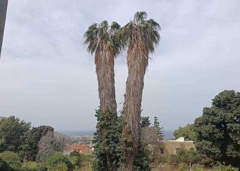 9bfa5545-35d4-4d95-bb78-c5657a4c5029.jpg - Villa Valderice - photo 24