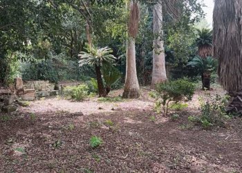 9d3bf8ec-f409-4728-a3d0-e4d62376c510.jpg - Villa Valderice - photo 25