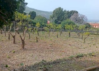 18a7cb6c-cbc1-4797-838c-611eeec68dfb.jpg - Villa Valderice - photo 26