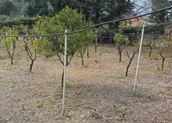 65be26f0-54f8-4d73-80b8-034e80c0e8d5.jpg - Villa Valderice - photo 29