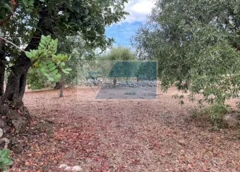 Terreno agricolo Contrada Trigona, Solarino - foto 1