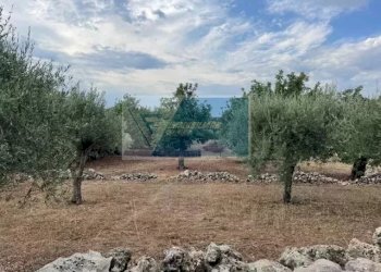 Terreno agricolo Contrada Trigona, Solarino - foto 6