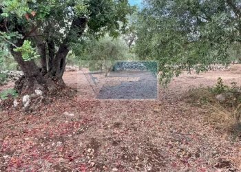 Terreno agricolo Contrada Trigona, Solarino - foto 7