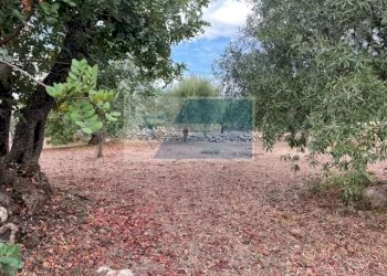Terreno agricolo Contrada Trigona, Solarino - foto 8