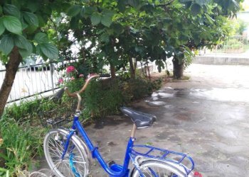 Appartamento dei Papaveri, Cervia - foto 14