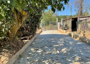 Giardino - Villa via Umberto I, 210, Rivalta di Torino - foto 17