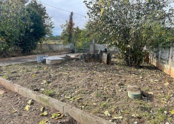 Giardino - Villa via Umberto I, 210, Rivalta di Torino - foto 32