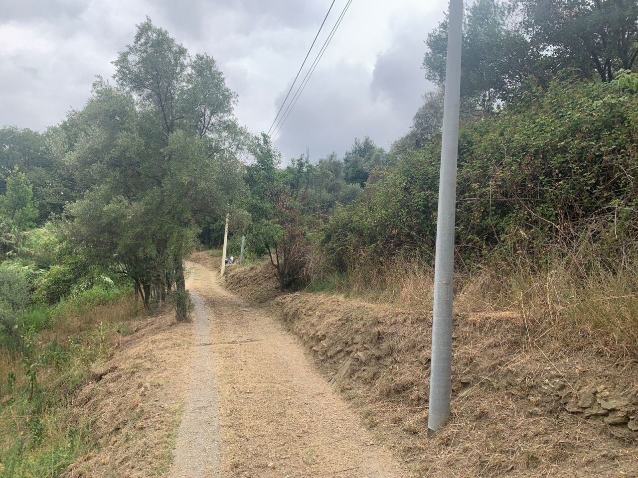 Via Rive (2).jpg - Terreno edificabile Via Rive, Quiliano - foto 3