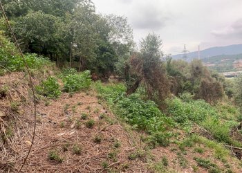 Via Rive (5).jpg - Terreno edificabile Via Rive, Quiliano - foto 8