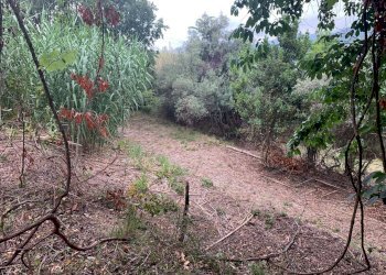 Via Rive (7).jpg - Terreno edificabile Via Rive, Quiliano - foto 11