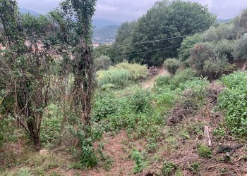 Via Rive (10).jpg - Terreno edificabile Via Rive, Quiliano - foto 16